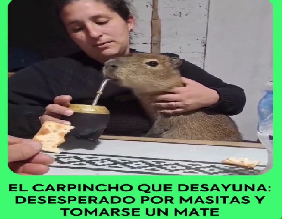 Imagen Noticia