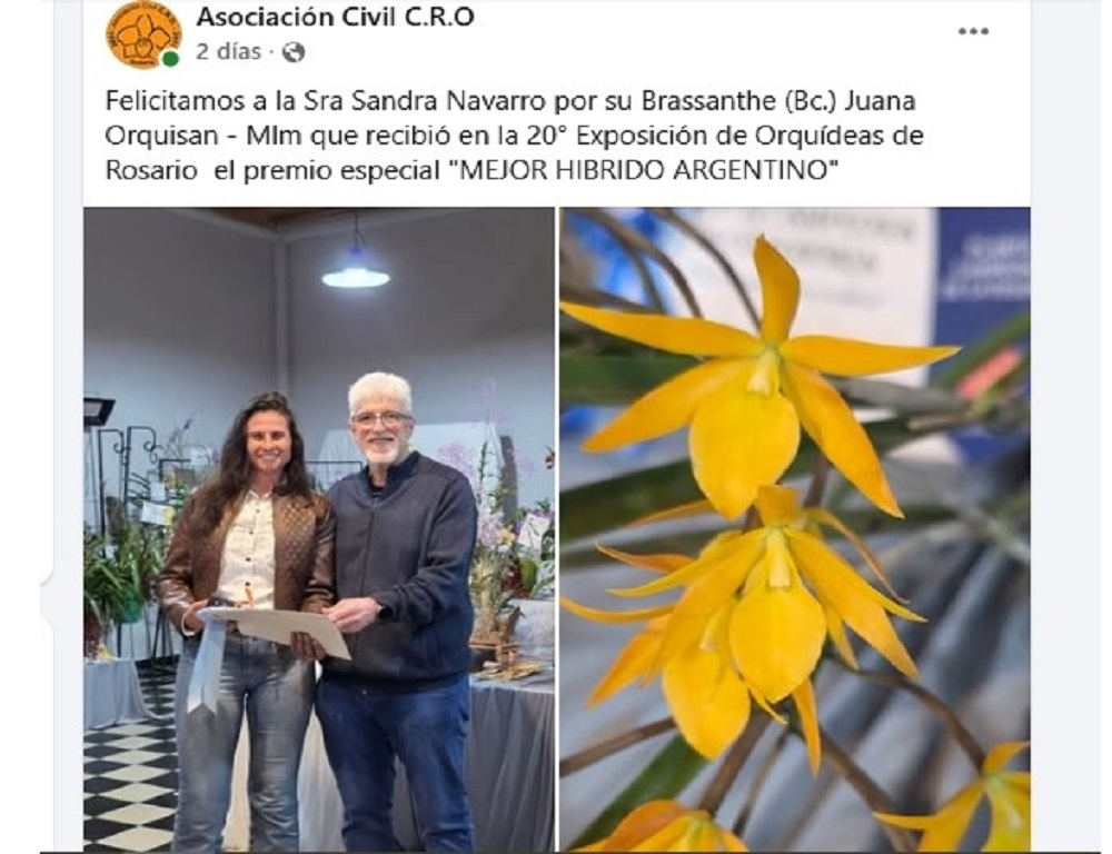 Imagen Noticia