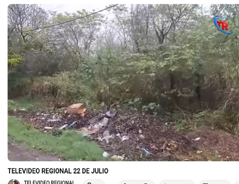 Imagen Noticia