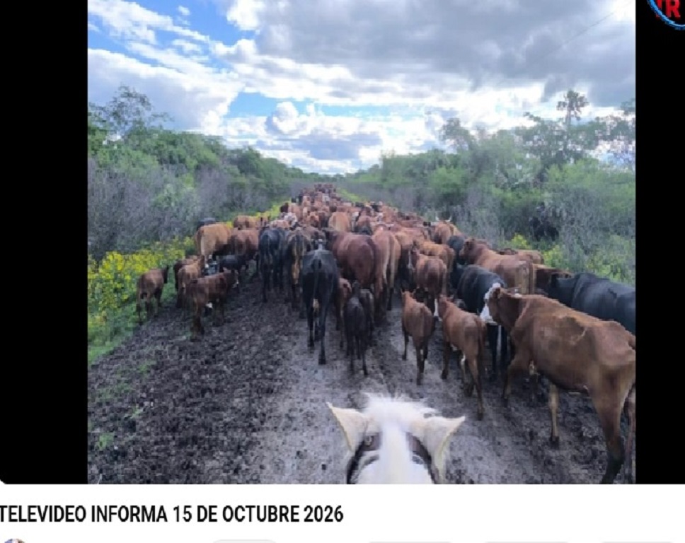 Imagen Noticia